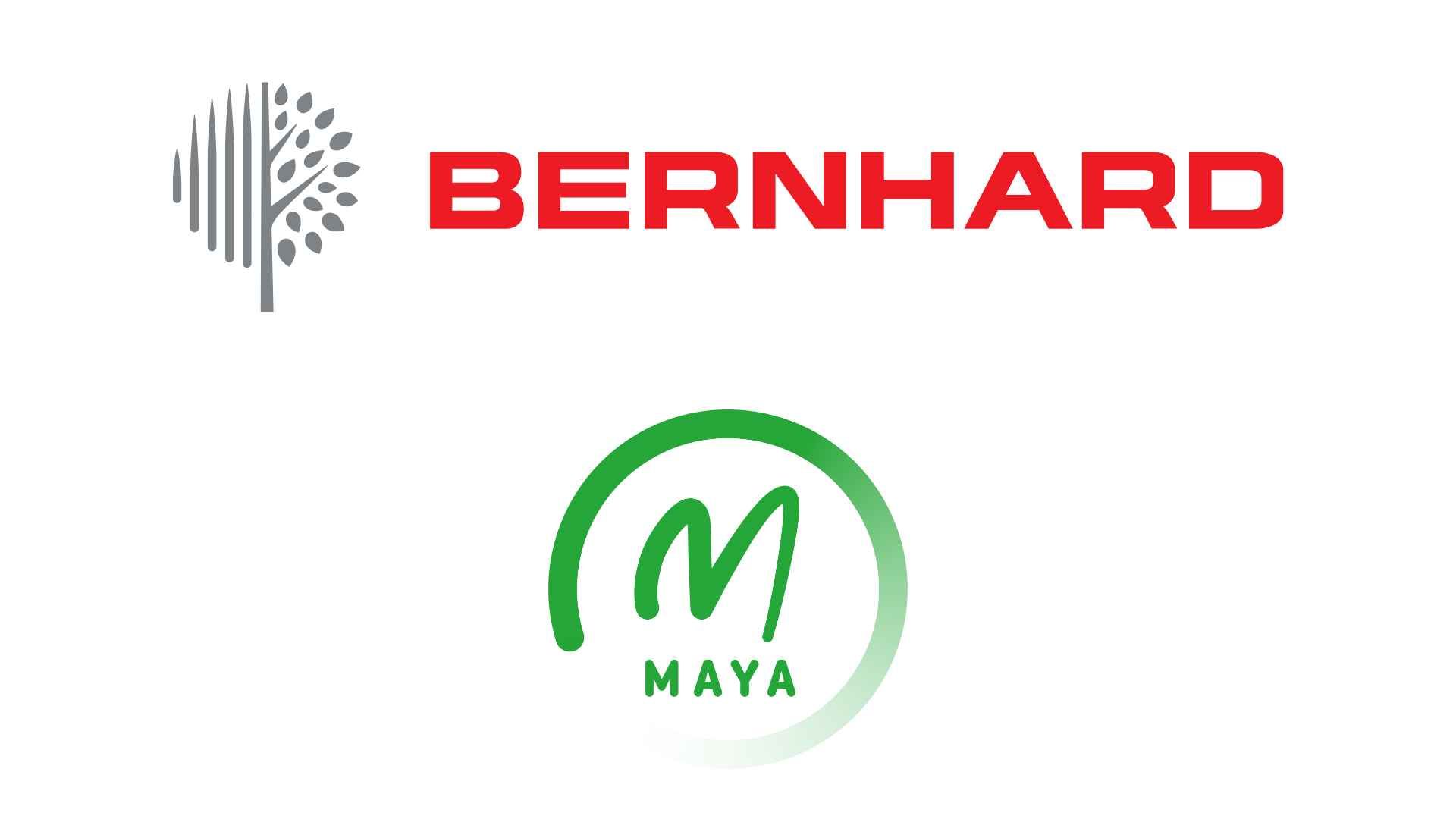 Maya Global gaat partnerschap aan met Bernhard and Company